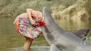 Bande annonce Summer Shark Attack 