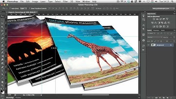What You Need to Know About JPEG Files