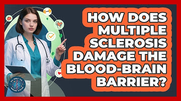 How Does Multiple Sclerosis Damage The Blood-brain Barrier? - All About the Immune System