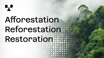 Afforestation, Reforestation and Restoration [ARR] | Sector Snapshot | BeZero Carbon