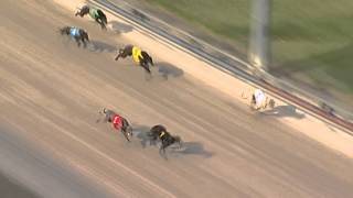 Ipswich-06112015-Race-4