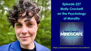 Mindscape 227 | Molly Crockett on the Psychology of Morality