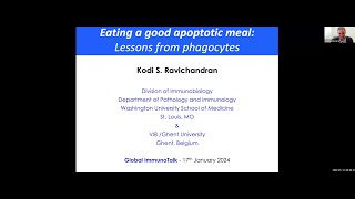 "How to eat a good apoptotic meal – lessons from phagocytes" by Dr. Kodi Ravichandran