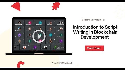Introduction to Script Writing in Blockchain Development  | TEFEM Africa Fellowship 2024