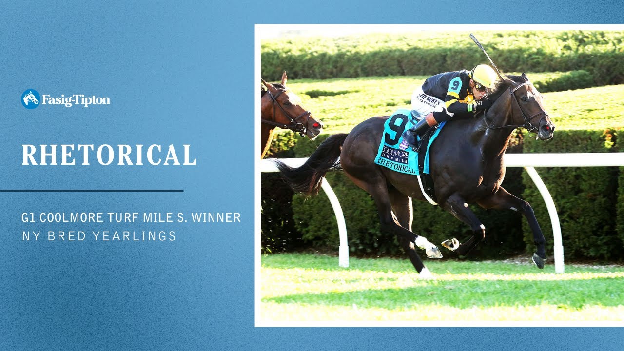Победитель Coolmore Turf Mile Stakes, RHETORICAL, на скачках NY Bred Yearlings.