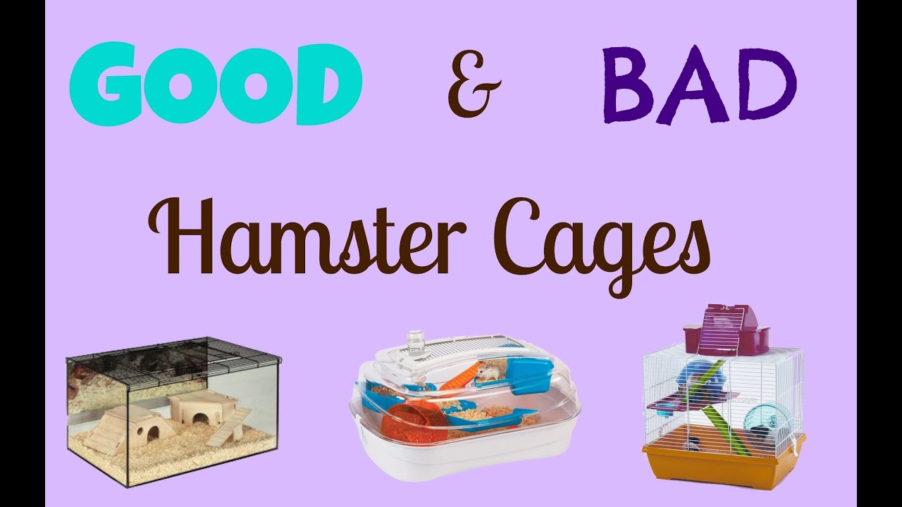 good and bad hamster cages