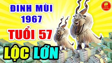 Cuộc Đời ĐINH MÙI 1967 Năm 57 Tuổi ƠN TRÊN CHIẾU CỐ, TÀI LỘC RỰC SÁNG