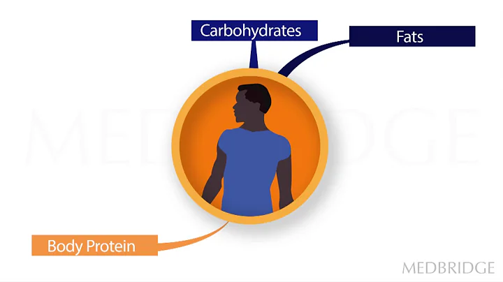 Nutrition in Sports - Barbara Hoogenboom | MedBridge