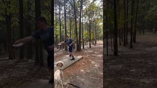 Getting a Nice Little Birdie on This Hole nature subscribe discgolf tennessee trees fail