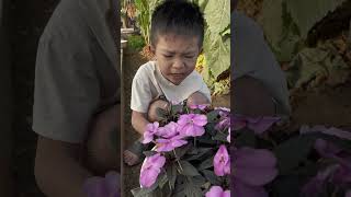 Người em trai bị hiểu nhầm | Tippi Tv #tippitv