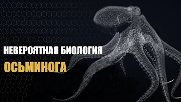 Невероятная биология Осьминога