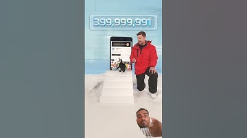 Can I touch penguin Subscribeb? #mrbeastshorts #mrbeast #shorts #littlepenguin  channels