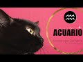 ACUARIO! ♒️ FASCINANTE! SIEMPRE TUVISTE RAZÓN 🙏🔥💗TAROT SEMANAL AMOR Y MAS HOROSCOPO Y TAROT