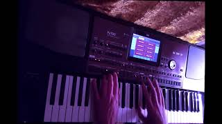 Flames of love- Fancy  KORG PA700 style chords