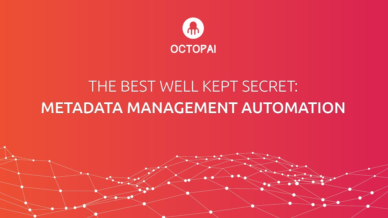 Metadata Management Automation | OCTOPAI - YouTube
