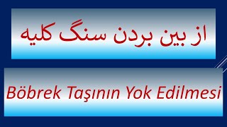 از بین بردن سنگ کلیه Böbrek Taşının Yok Edilmesi