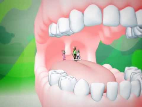 Video: I Denti Umani Sono Diminuiti Nel Corso Dell'evoluzione - Visualizzazione Alternativa