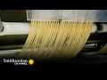Pasta Production and Technology
