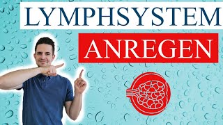 Das Lymphsystem - mit diesen einfachen Techniken bringst Du es so richtig in Schwung!