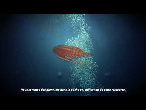 Calanus  -  l&rsquo;utilisation durable d&rsquo;une nouvelle ressource renouvelable