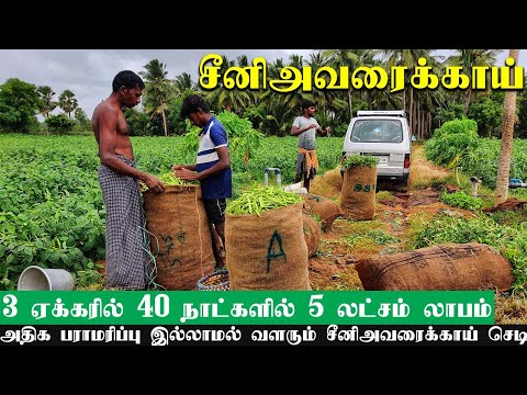 40 நாட்களில் 5 லட்சம் லாபம் தரும்