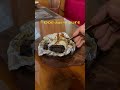 #food #reels #shortsfeed #viral #trending #streetfood #youtubeshorts