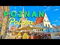 Вау! Познань в Польше! Рай?! Свобода?! Украинская правда от Димы! Есть ли работа? Кальян помог мне!