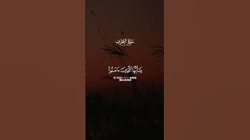 القارئ الشيخ صالح الأنصاري