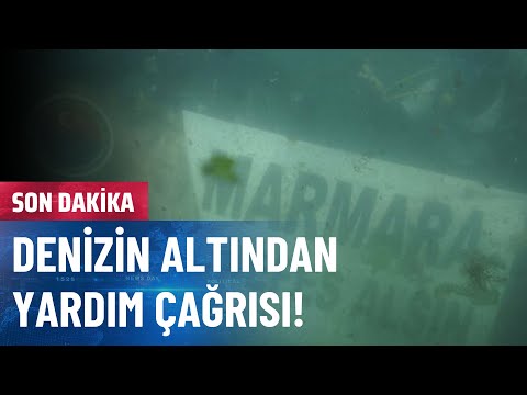 15 Metre Derinden
