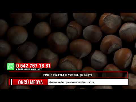 FINDIK FİYATLARI YÜKSELİŞE GEÇTİ FİYATLARDAKİ ARTIŞIN DEVAM ETMESİ BEKLENİYOR