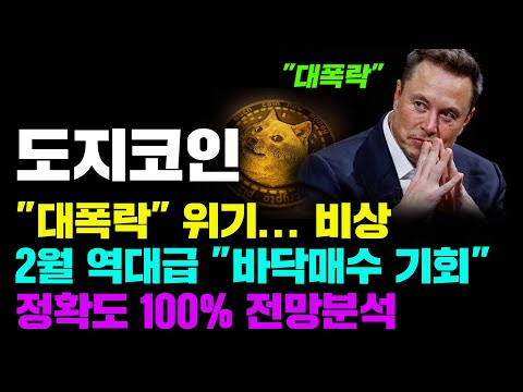   도지코인 긴급 비트가 꺾였다 초비상 2월 역대급 바닥매수 기회 옵니다 코인시황