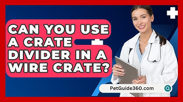 Can You Use A Crate Divider In A Wire Crate? - PetGuide360.com