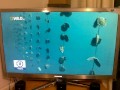 samsung 3d led tv blink 2.mp4 (Samsung UE46C8000)