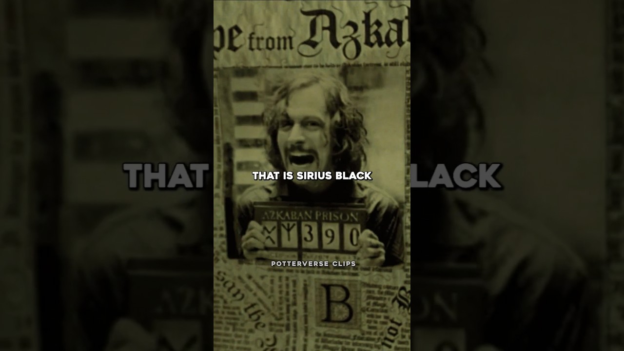 Кто такой Сириус Блэк | Гарри Поттер и узник Азкабана 