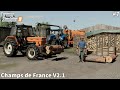 Preparing FireWood, Spreading Slurry, Cultivating │Champs de France V2│FS 19│Timelapse#07