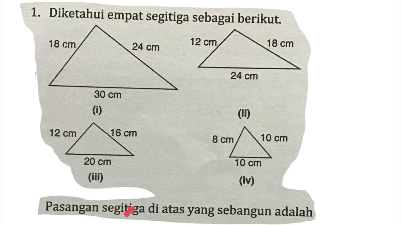 Pasangan Segitiga Di Atas Yang Sebangun Adalah - Perumperindo.co.id