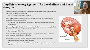 Module 32: Storing and Retrieving Memories
