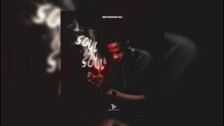Mr Shane SA, Earful Soul - African Meditation (1060 Sounds)
