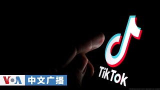 美国之音中文广播 (2026年1月24日)