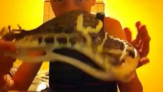 Thelaxplayer58 Update: STX Deuce Restring