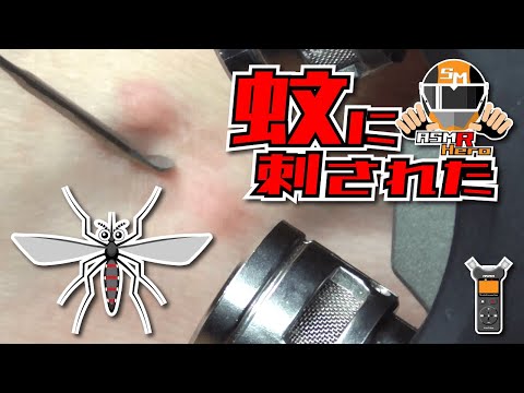 【ASMR】蚊に刺された足首を耳かきで掻く音/I got a mosquito bite/TASCAM DR-07MK2/no talking