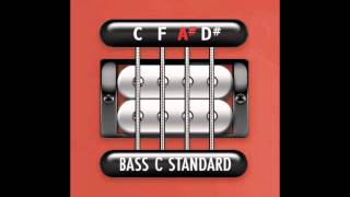 Perfect Guitar Tuner Bass C Standard C F A D