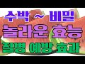 #수박 놀라운 효능-쑤시는 근육통 사라지고- 눈이 밝아지며 -혈압 - 혈당 걱정없이 먹는 법