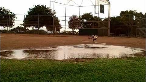 Inverted hover over water