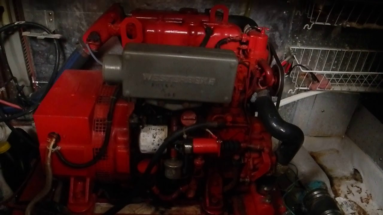 Generator start up, fuel control lever and electric fuel pump YouTube