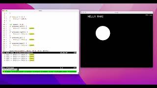 Rust + Rhai + Macroquad + Live Reload Game Engine Experiment