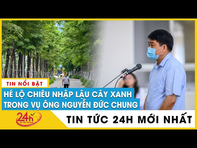 Bản tin trưa 29/3: Sự thật đăng sau chiêu nhập lậu hàng nghìn cây xanh trong vụ ông Nguyễn Đức Chung
