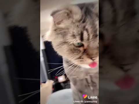 اضحك للدنيا تضحك لك