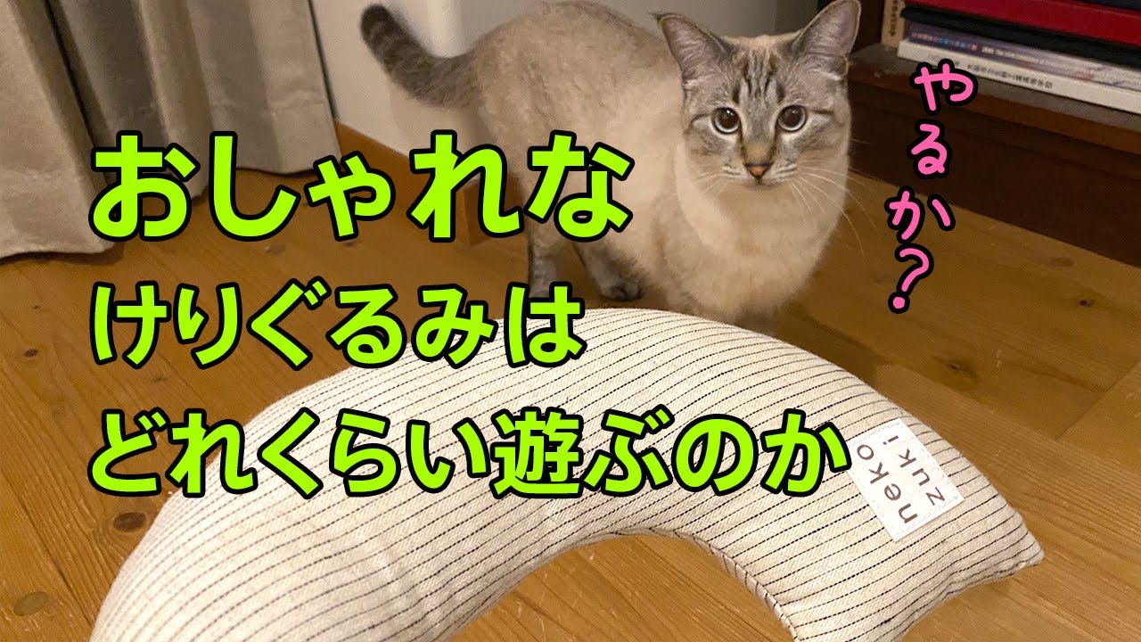 おしゃれなけりぐるみで猫が遊ぶか試してみました おもちゃレビュー Youtube