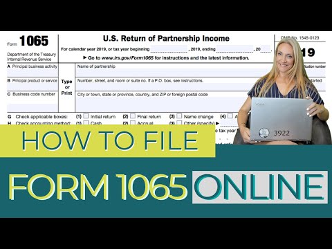 How To File Form 1065 Online (Multi-Member LLC & Partnership Tax Form) - How to Use Tax Act!
